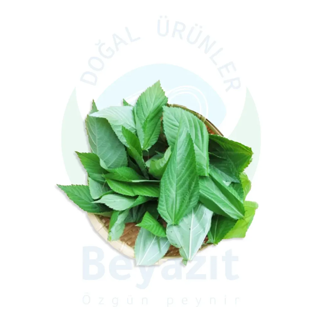 ملوخية مجمدة